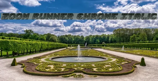 Zoom Runner Chrome Italic Example 3
