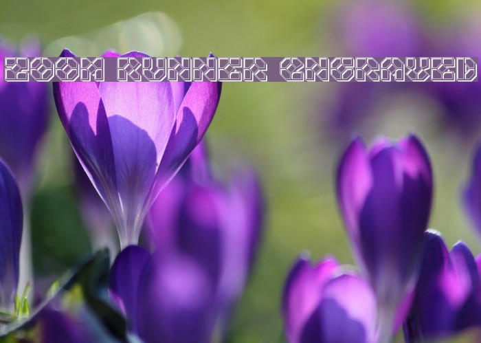 Zoom Runner Engraved Example 2