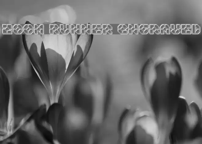 Zoom Runner Engraved Font examples