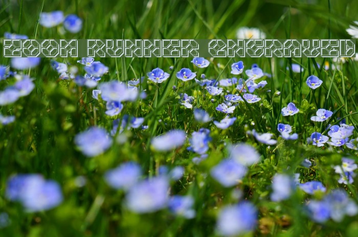 Zoom Runner Engraved Example 3