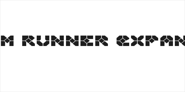 Zoom Runner Expanded Logo
