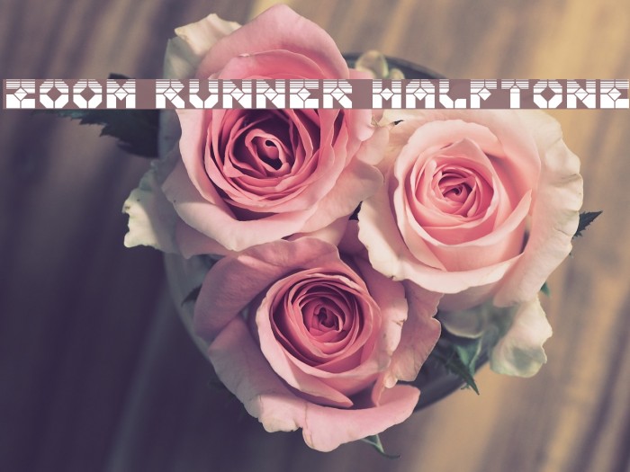Zoom Runner Halftone Font examples