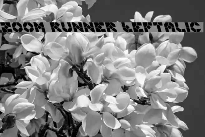 Zoom Runner Leftalic Schriftart examples