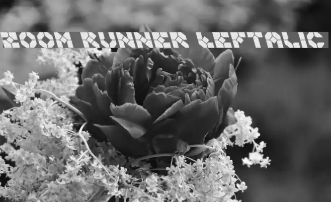 Zoom Runner Leftalic Schriftart examples