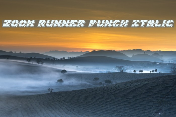 Zoom Runner Punch Italic Font examples