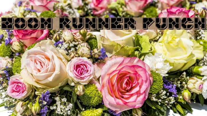 Zoom Runner Punch Font examples
