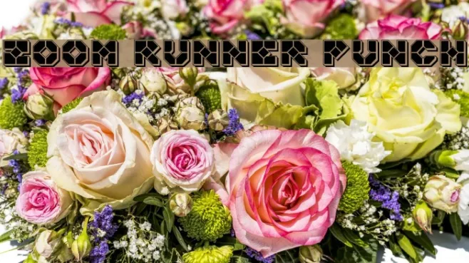 Zoom Runner Punch Example 2