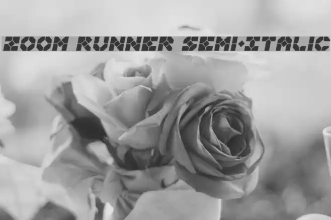 Zoom Runner Semi-Italic Font examples
