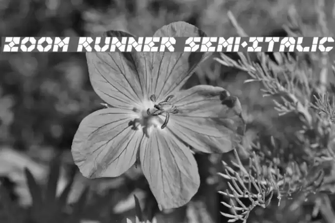 Zoom Runner Semi-Italic Font examples