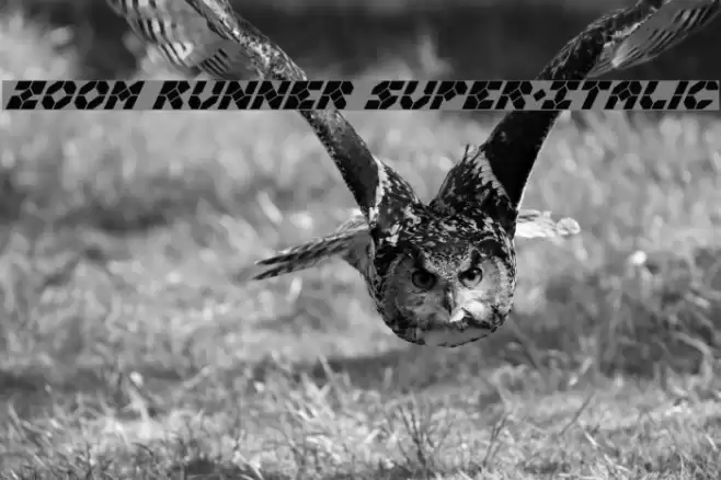 Zoom Runner Super-Italic Font examples