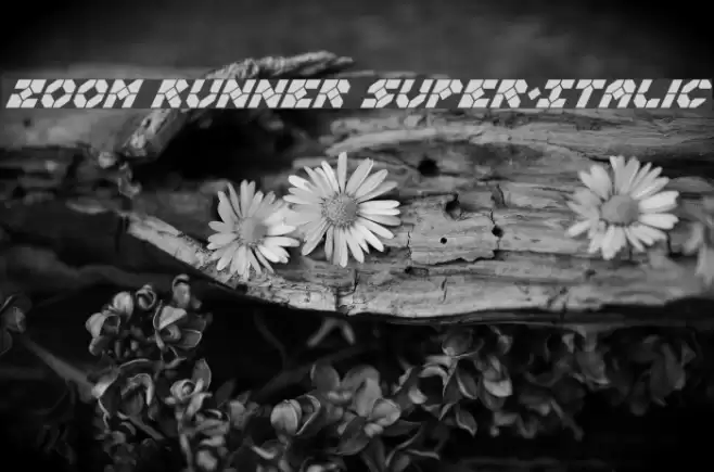 Zoom Runner Super-Italic Font examples