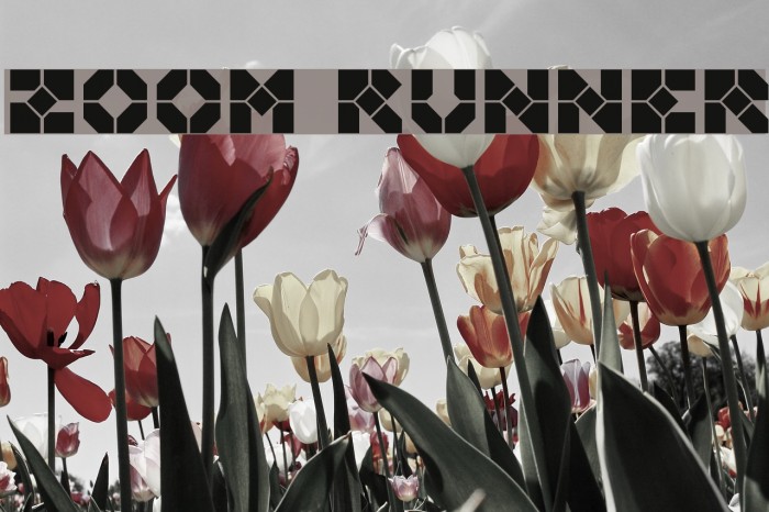 Zoom Runner Font examples