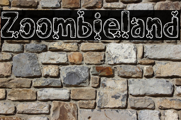 Zoombieland Example 1