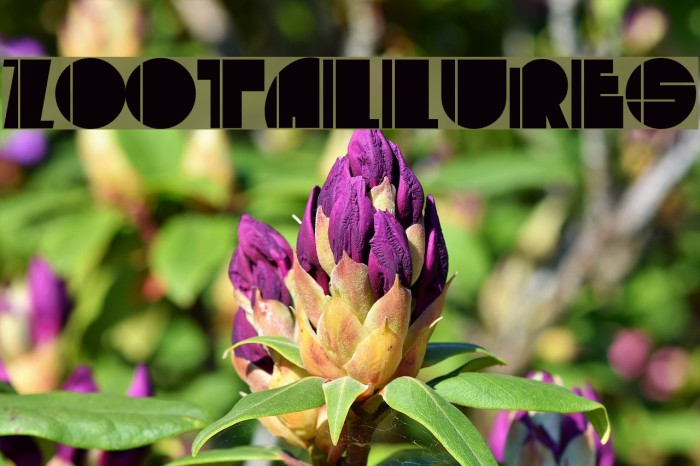 ZootAllures Font examples