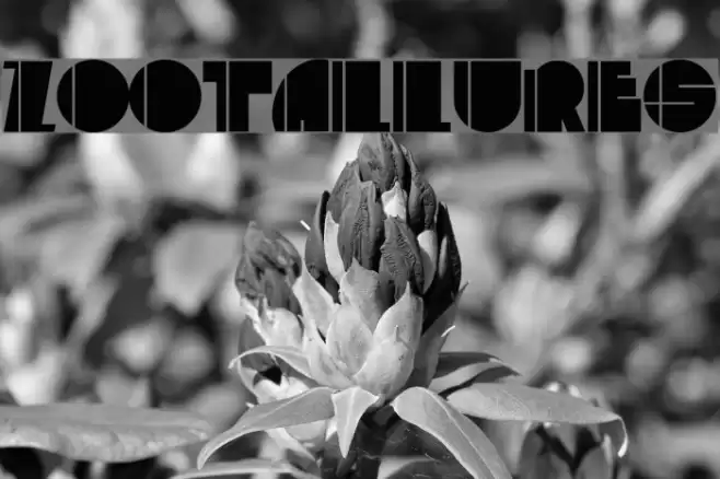 ZootAllures Шрифта examples