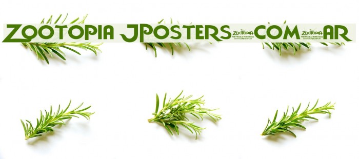 Zootopia JPosters.com.ar Font examples