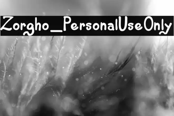 Zorgho_PersonalUseOnly Font examples