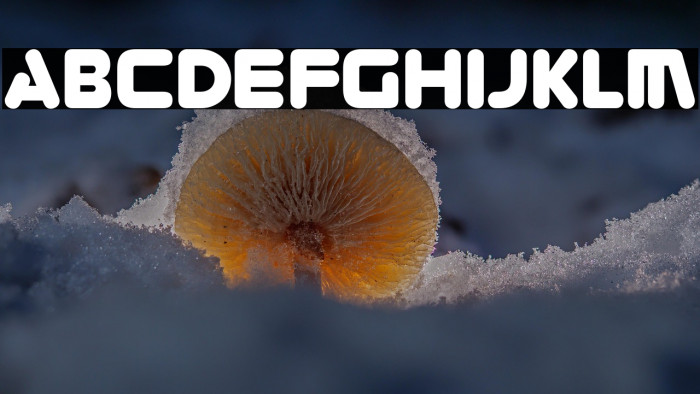 Zorque-Regular Example 2