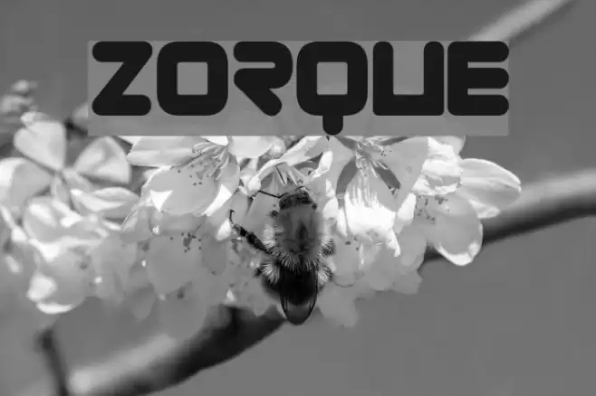 Zorque Font examples