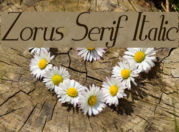 Zorus Serif Italic Font examples
