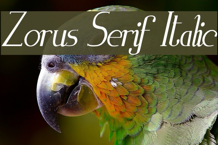 Zorus Serif Italic Font examples