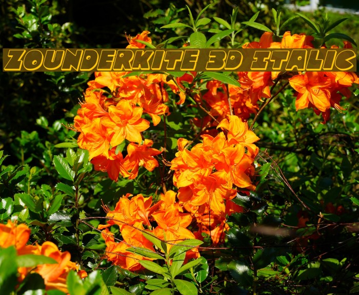 Zounderkite 3D Italic Font examples