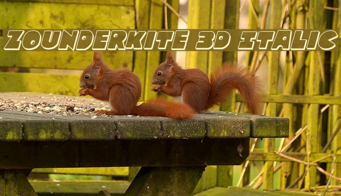 Zounderkite 3D Italic Example 3