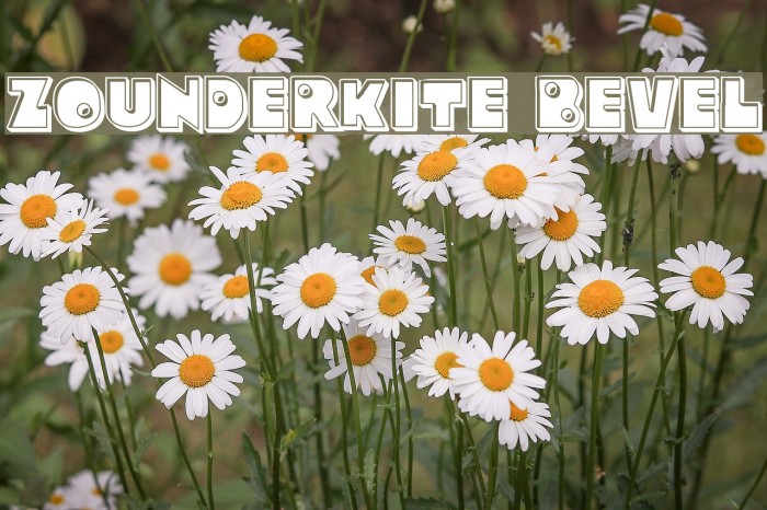 Zounderkite Bevel Example 3