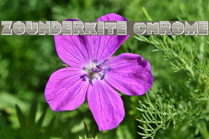 Zounderkite Chrome Font examples