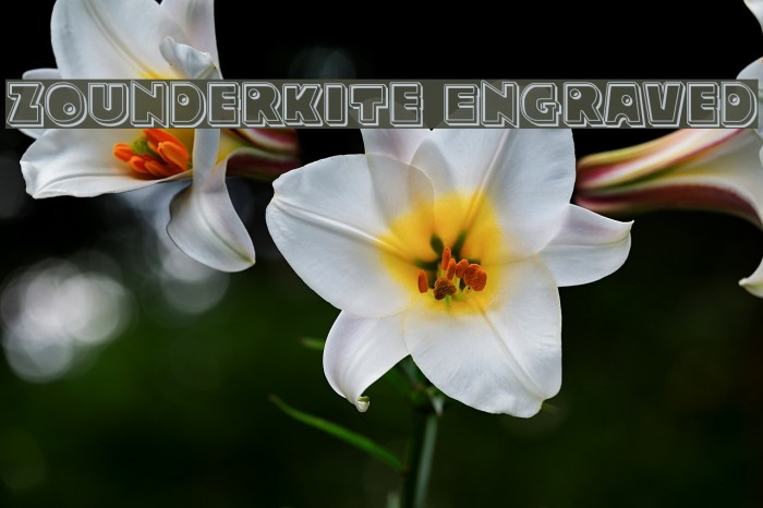 Zounderkite Engraved Example 1