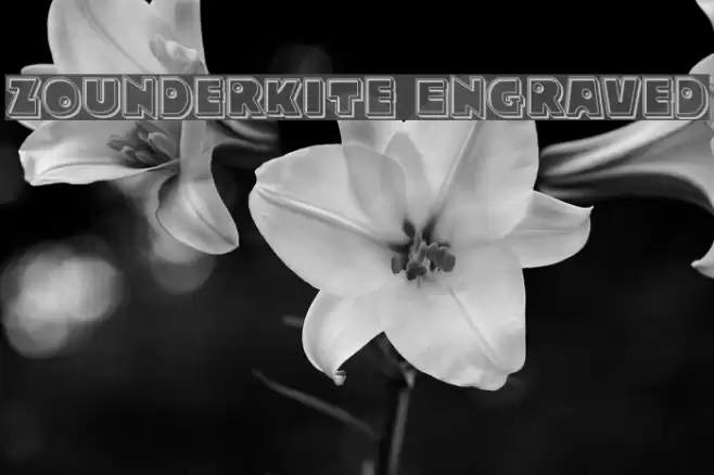 Zounderkite Engraved Font examples