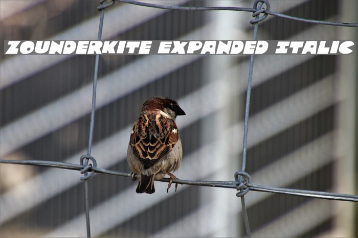 Zounderkite Expanded Italic Example 2