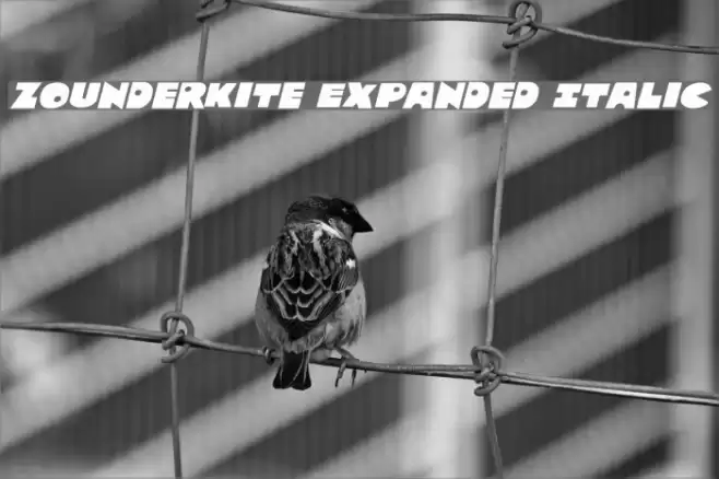 Zounderkite Expanded Italic Font examples