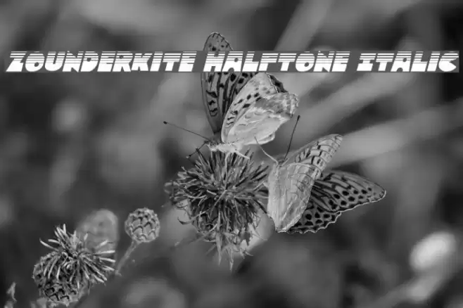 Zounderkite Halftone Italic Font examples