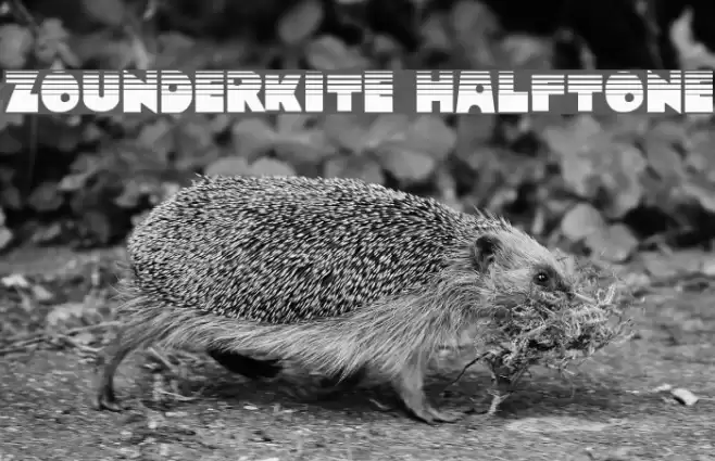 Zounderkite Halftone Font examples