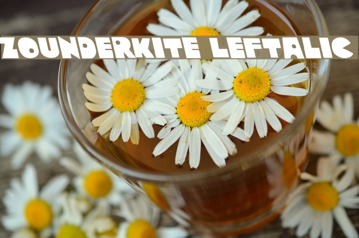 Zounderkite Leftalic Font examples