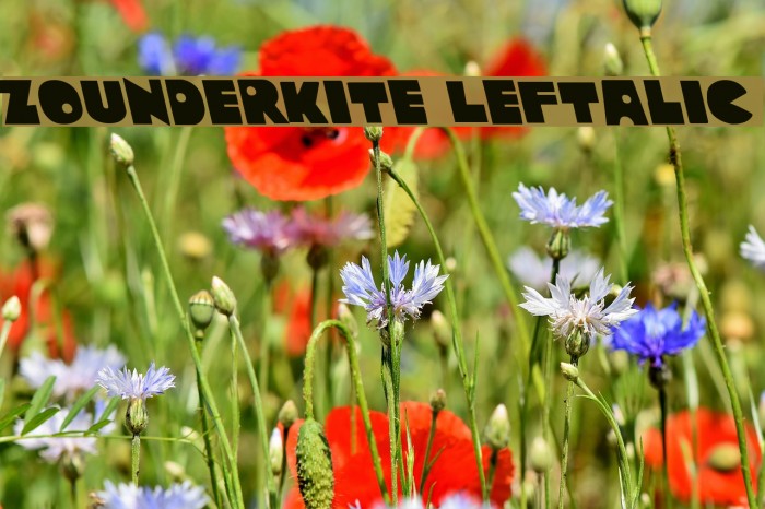 Zounderkite Leftalic Font examples