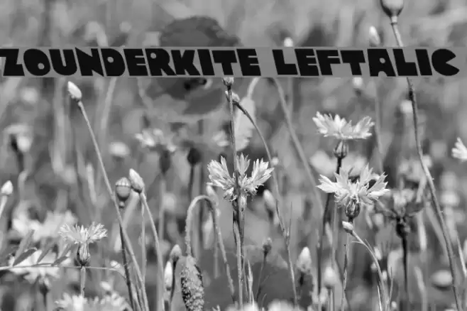 Zounderkite Leftalic Font examples