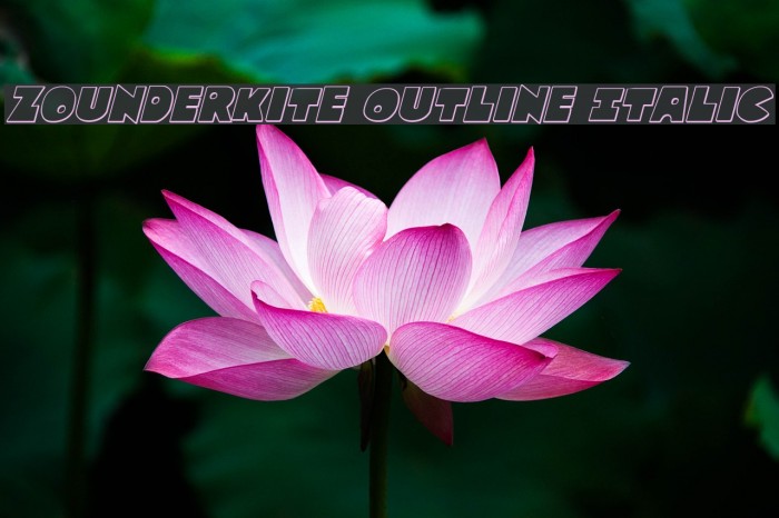 Zounderkite Outline Italic Example 3