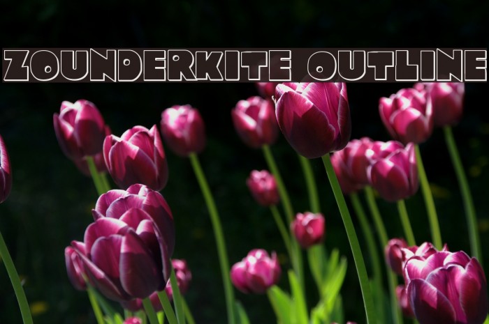Zounderkite Outline Font examples