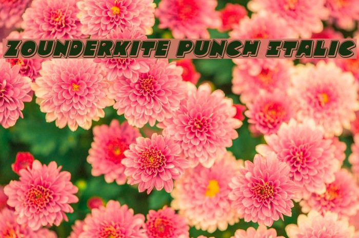 Zounderkite Punch Italic Font examples