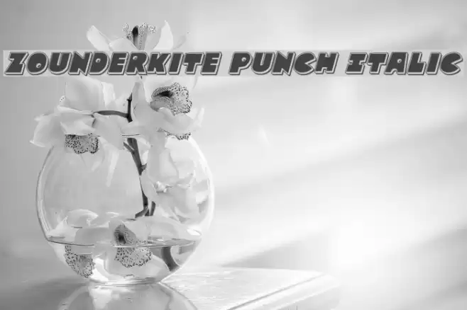Zounderkite Punch Italic Font examples