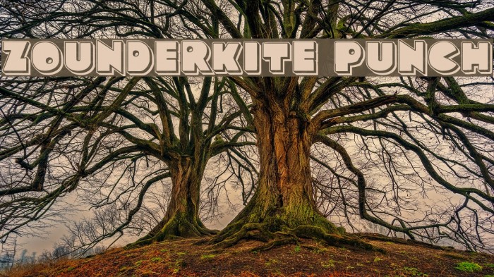 Zounderkite Punch Font examples