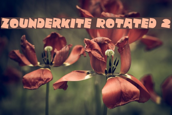 Zounderkite Rotated 2 Example 3