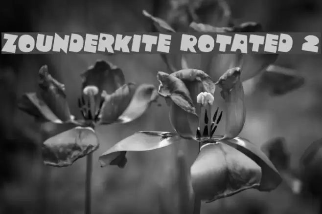 Zounderkite Rotated 2 Font examples