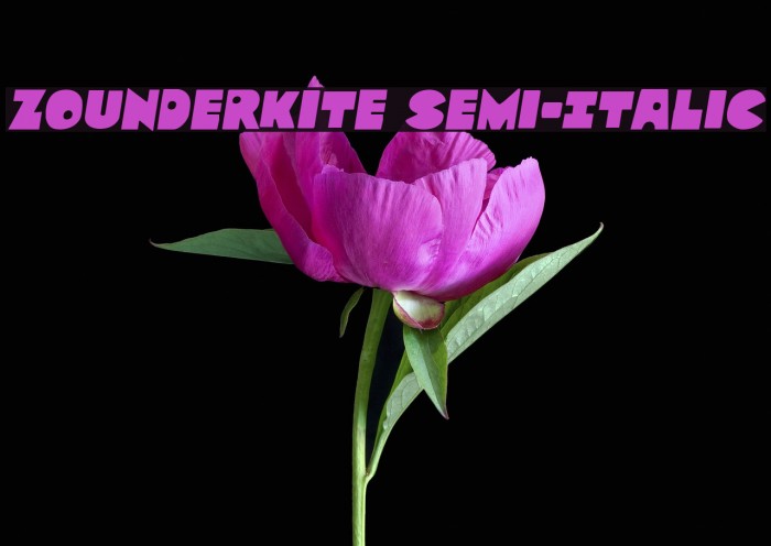Zounderkite Semi-Italic Font examples