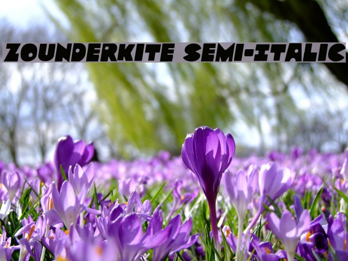 Zounderkite Semi-Italic Font examples