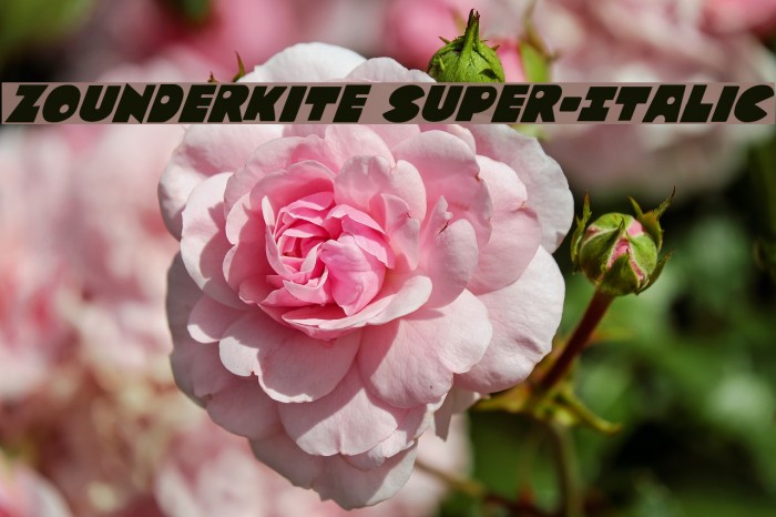Zounderkite Super-Italic Font examples