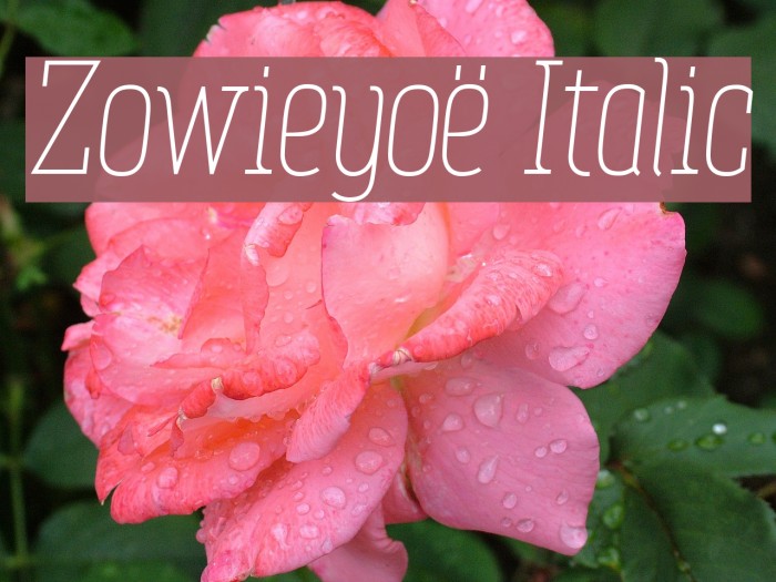 Zowieyoë Italic Example 1
