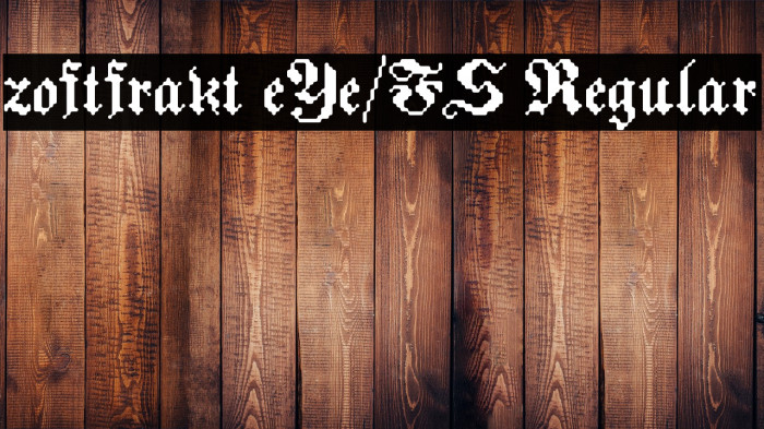 zoftfrakt eYe/FS Regular Example 1